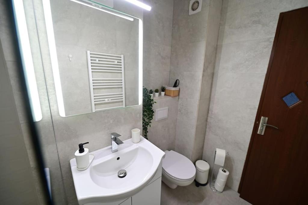 Flh - Apartament Damar Сібіу Екстер'єр фото