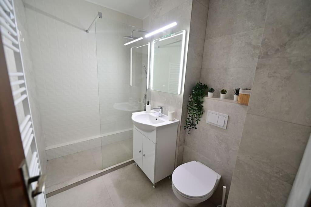 Flh - Apartament Damar Сібіу Екстер'єр фото